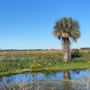 Meet your Posher, Carlos